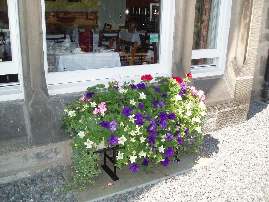 Strathness House Hotel Inverness Buitenkant foto